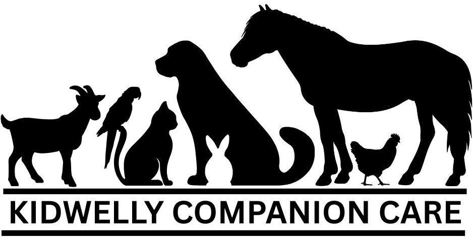 Kidwelly Companion Care